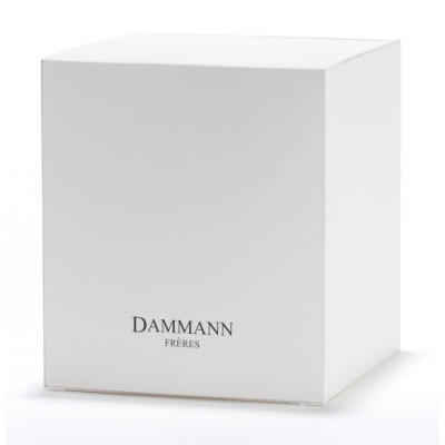 Dammann Escape - Втеча