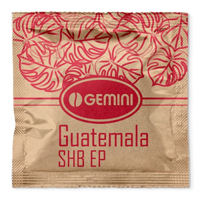 Кава в чалдах Gemini Guatemala SHB EP